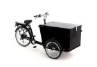 BABBOE PRO-TRIKE e (Reconditionné)