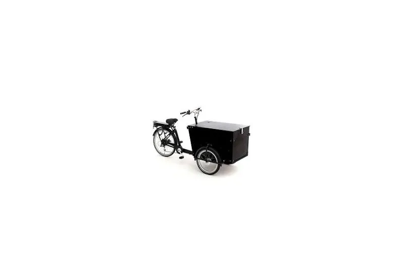 BABBOE PRO-TRIKE e (Reconditionné)