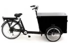BABBOE PRO-TRIKE e (Reconditionné)
