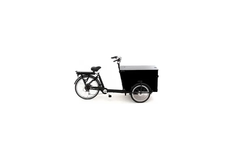 BABBOE PRO-TRIKE e (Reconditionné)
