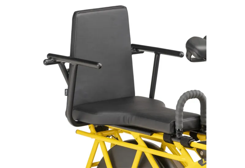 TERN Captain Chair