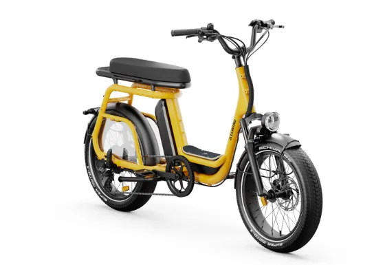 ELWING Ritmic Duo - vélo électrique cargo biplace